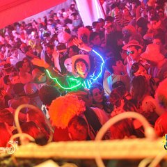 Galeria 25